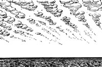 Рис. 114. Высококучевые облака ("барашки") .